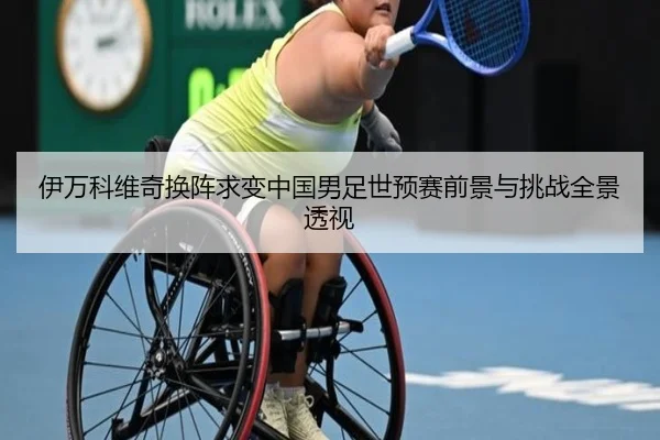 伊万科维奇换阵求变中国男足世预赛前景与挑战全景透视